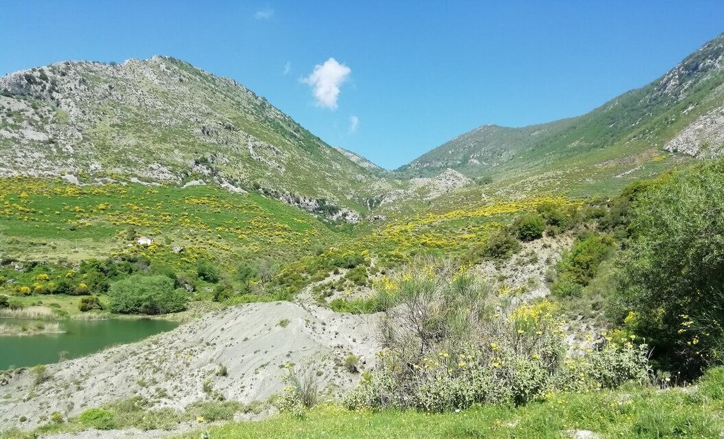 Εξώδικα και μηνύσεις στον ΟΠΕΚΕΠΕ 